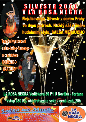 SILVESTR 2008